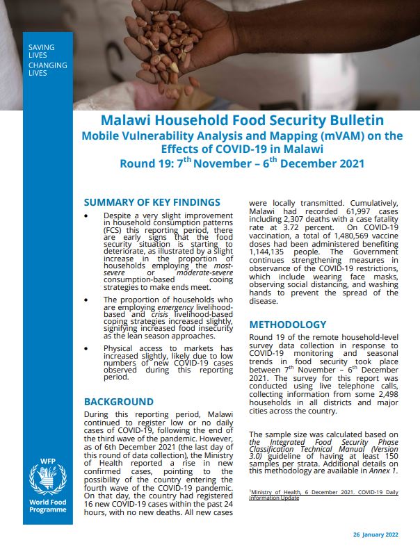 Round 19 Bulletin of WFP Household Food Security Monitoring during COVID-19