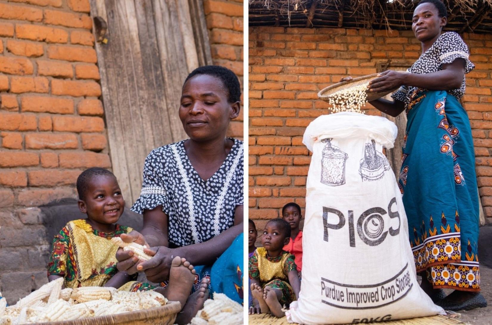 Rufina shells maize with her daughters and stores it in hermetic bags. Photo: WFP/Badre Bahaji