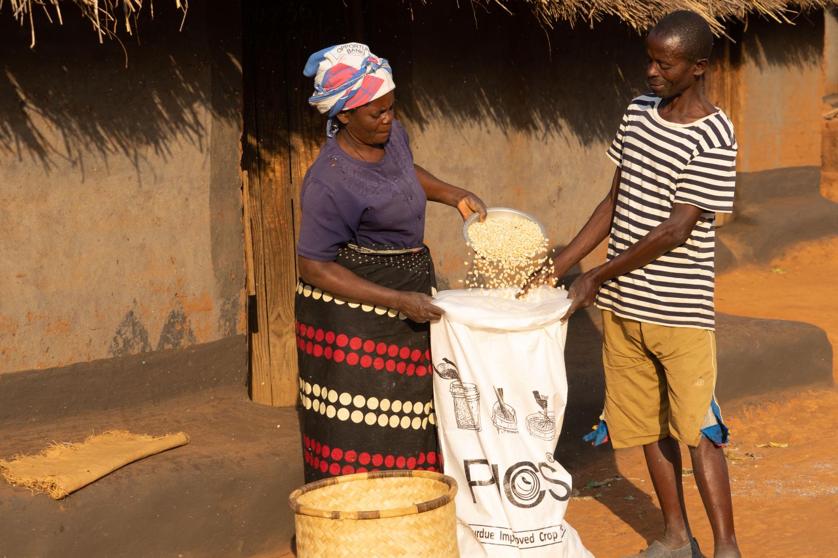 Timothy and his wife Alice put their maize in hermetic bags for safe keeping. Photo: WFP/Badre Bahaji