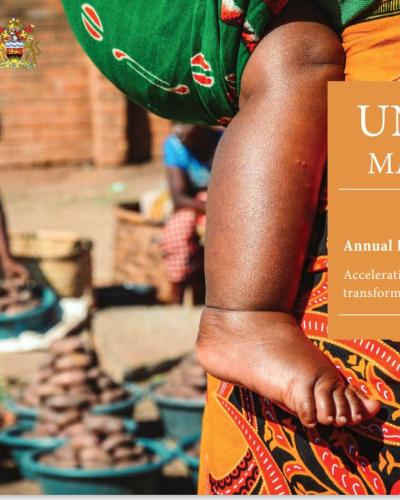 UNFPA Annual Report