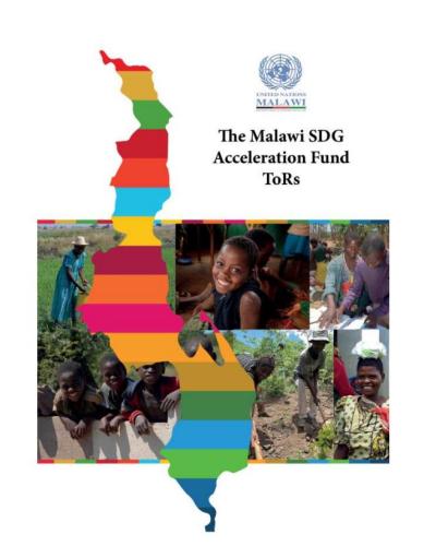 SDG Acceleration Fund ToRs