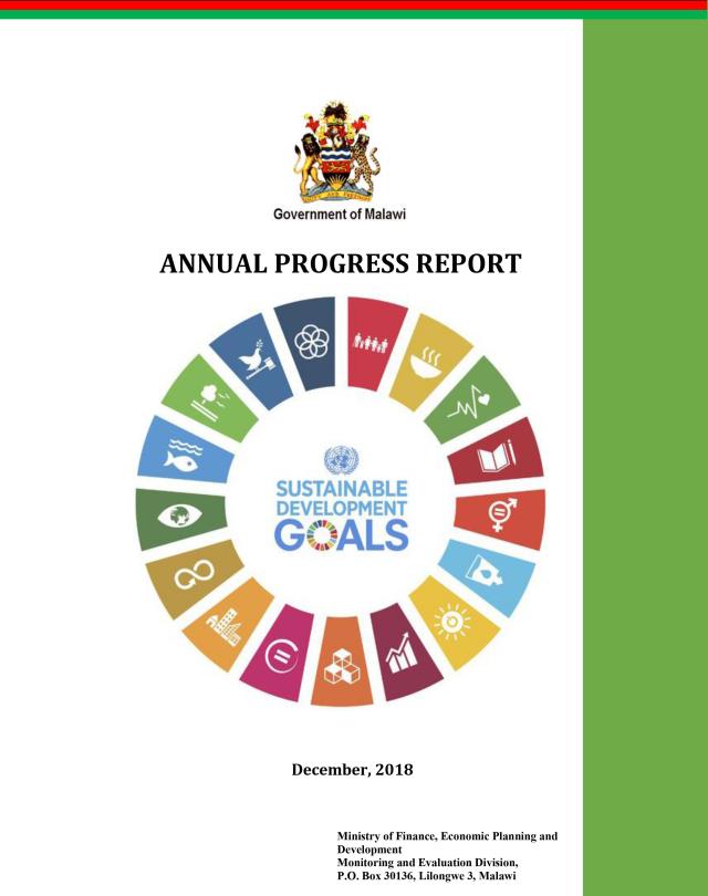 SDGs Annual Report