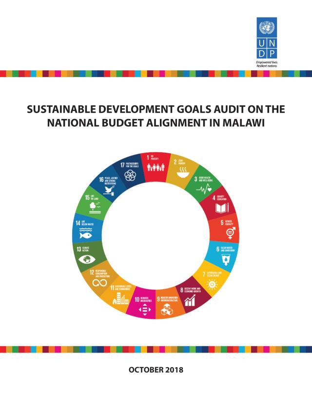 SDG Audit