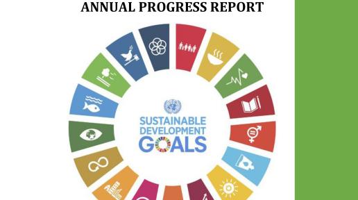 SDGs Annual Report