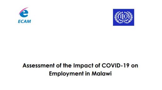 Assessment of the Impat of Covid-19 on the Labour Market in Malawi_ECAM Final Report