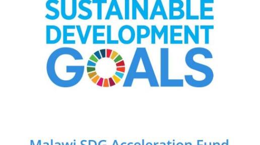 SDG Acceleration Fund