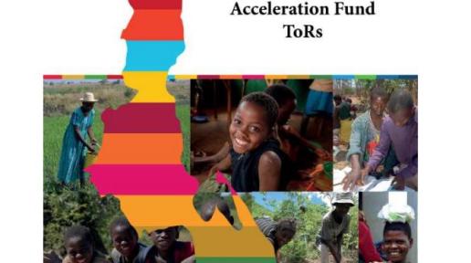 SDG Acceleration Fund ToRs