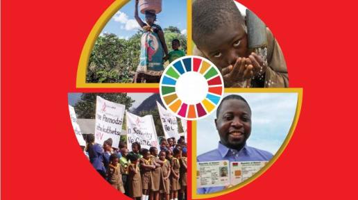 2017 Annual Report for UN Malawi