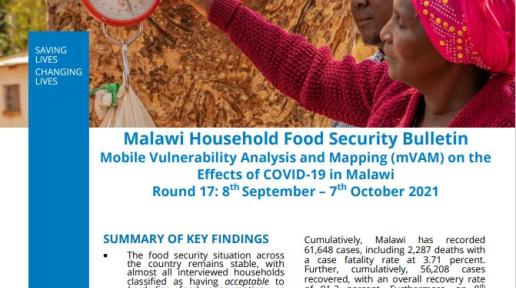 WFP Household Food Security Monitoring Bulletin Round 17