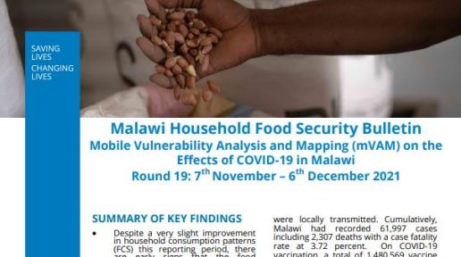 Round 19 Bulletin of WFP Household Food Security Monitoring during COVID-19